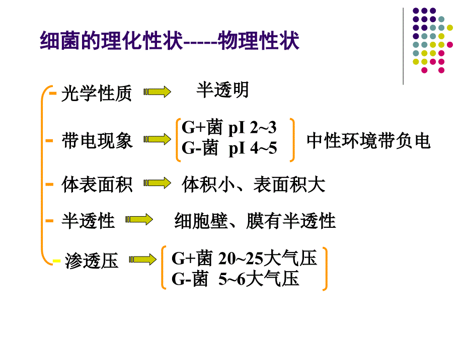 细菌的生理钟_第3页