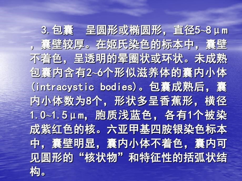 卡氏肺孢子虫Pneumocystiscarinii_第5页