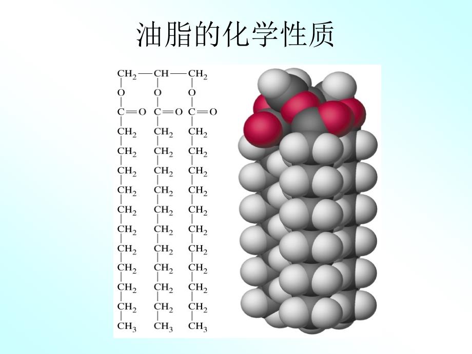 高中化学专题油脂_第1页