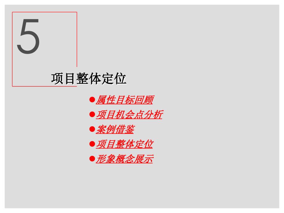 080506华强安阳中心商务区开发策略100208页_第1页