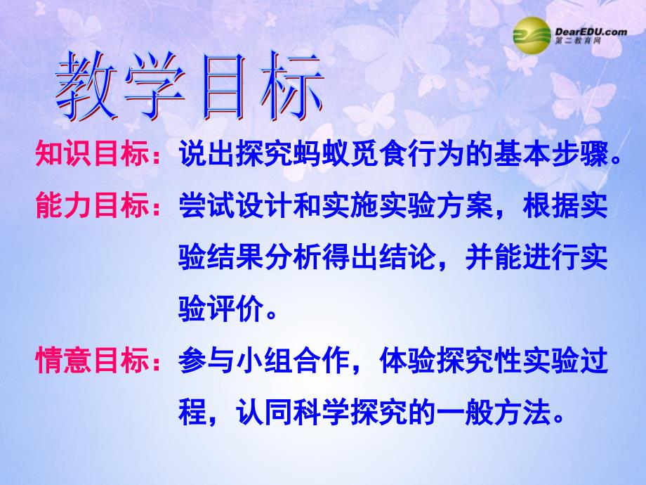 八年级生物上册蚂蚁的觅食行为课件苏科版课件_第2页