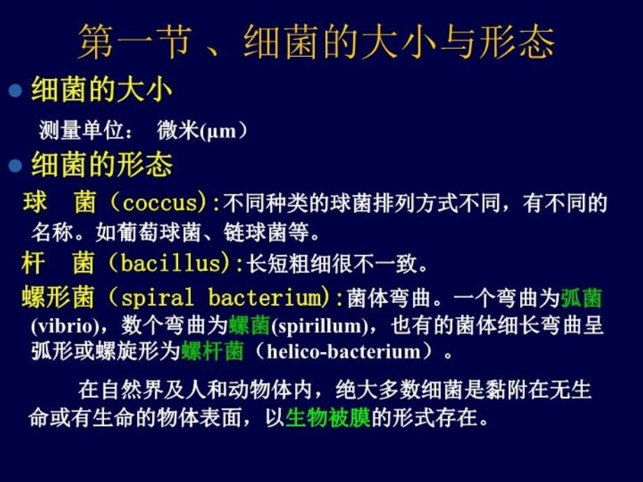 最新微生物第1章细菌形态结构PPT课件_第3页