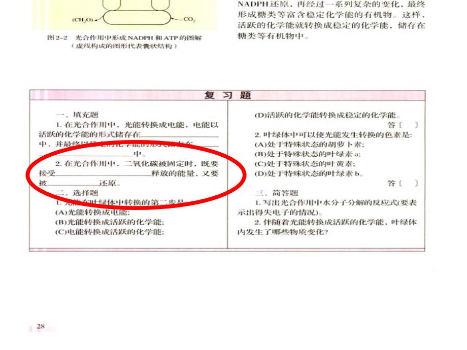 脱氧核苷酸的排列顺序代表遗传信息课件_第3页