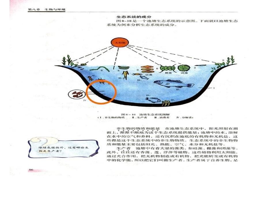 脱氧核苷酸的排列顺序代表遗传信息课件_第5页