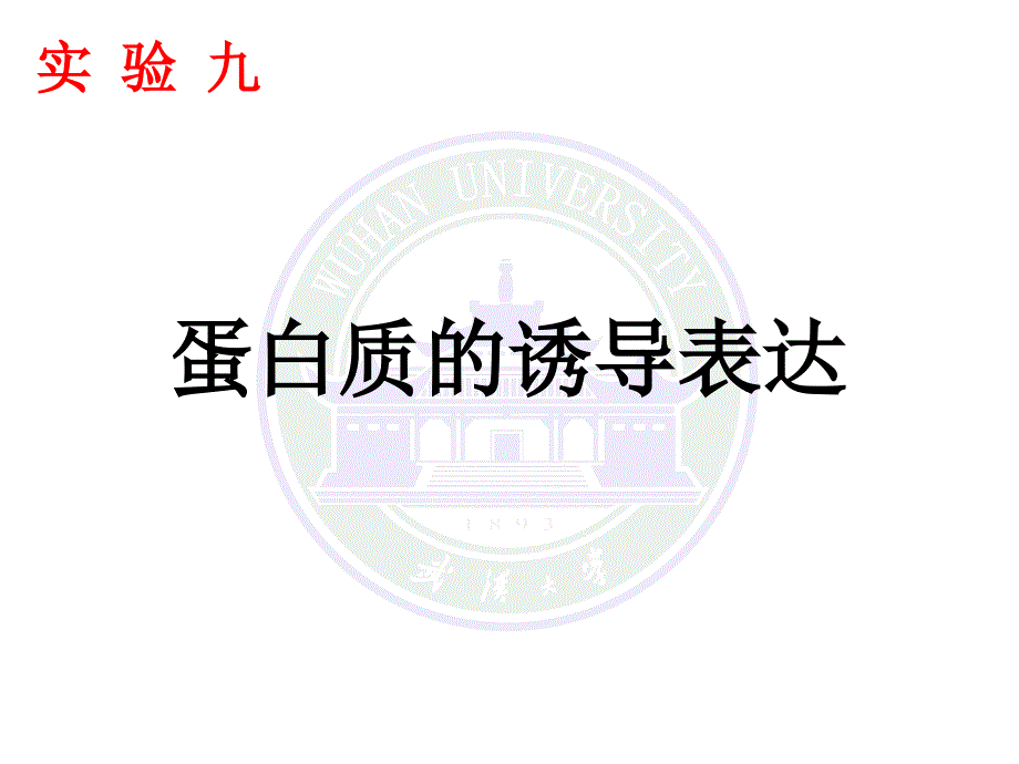 分子生物学实验课件：9蛋白诱导表达_第1页