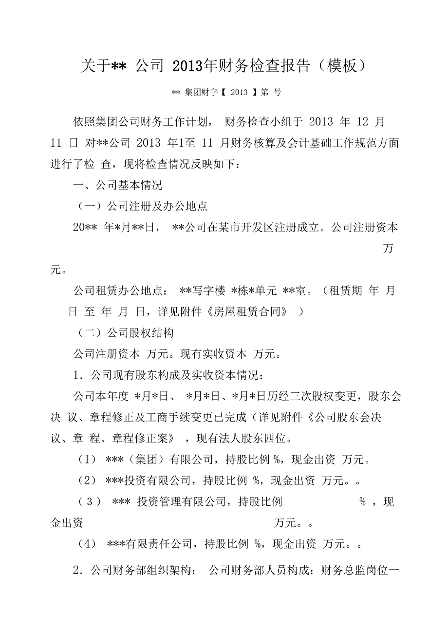 集团财务对某公司度财务检查报告最新模板_第1页