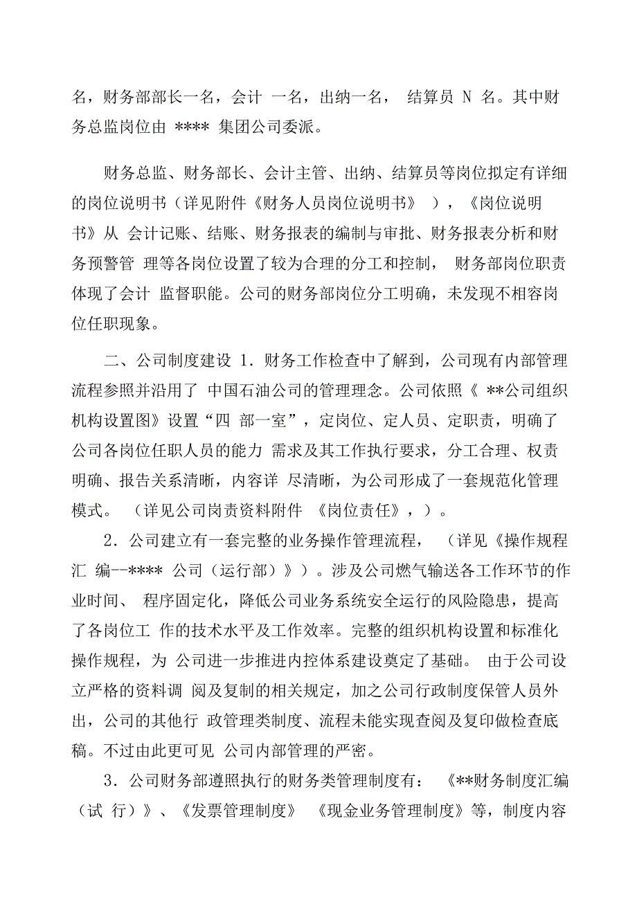 集团财务对某公司度财务检查报告最新模板_第2页