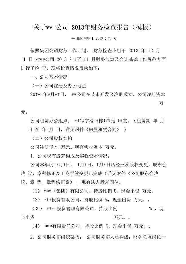 集团财务对某公司度财务检查报告最新模板