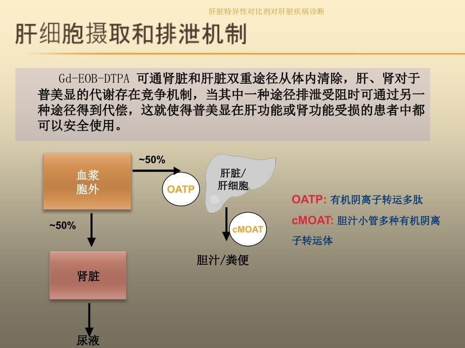 最新肝脏特异性对比剂对肝脏疾病诊断_第5页