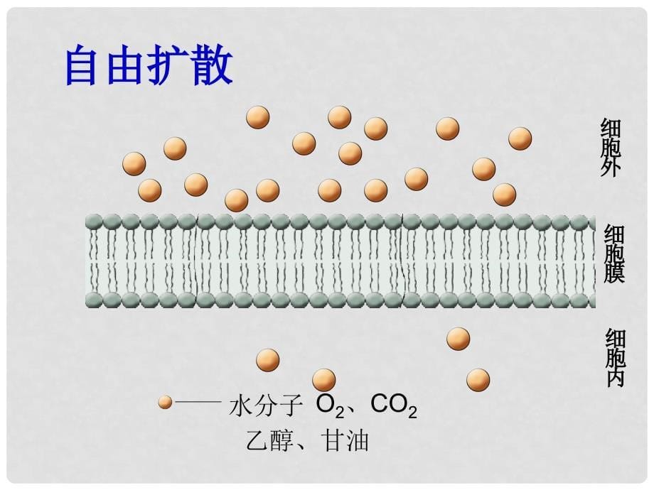 贵州省遵义市第一高级中学高一生物《第3节物质跨膜运输的方式》课件_第5页