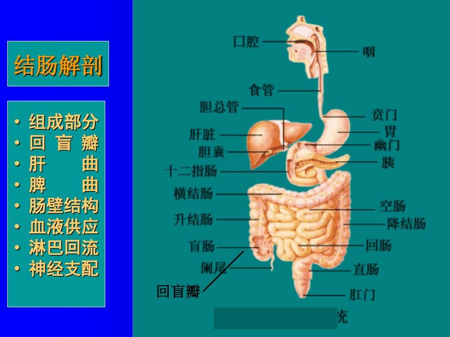 167结、直肠癌病人的护理_第4页