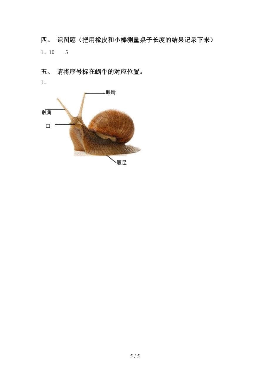 2022年苏教版一年级科学上册期中考试及完整答案.doc_第5页