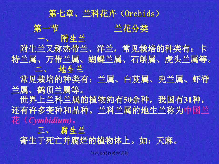 兰花多媒体教学课件_第1页