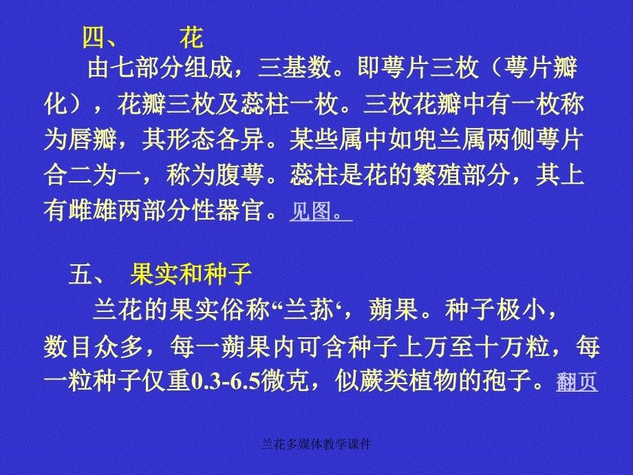 兰花多媒体教学课件_第5页