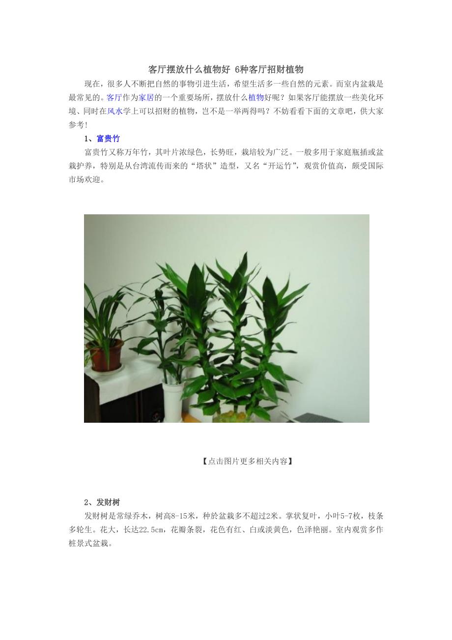 客厅摆放什么植物好 6种客厅招财植物.doc_第1页