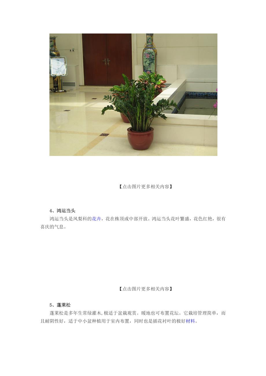 客厅摆放什么植物好 6种客厅招财植物.doc_第3页