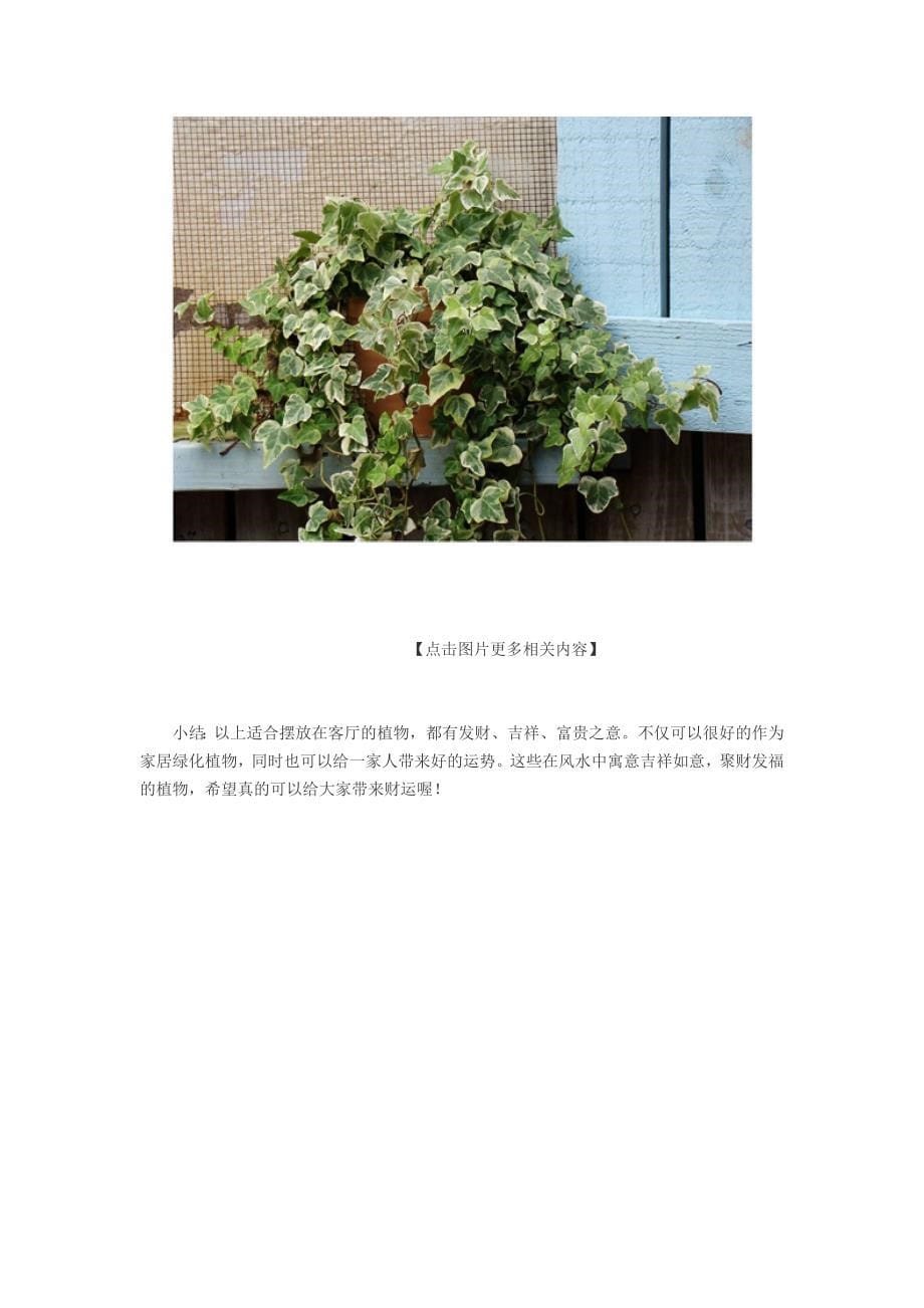 客厅摆放什么植物好 6种客厅招财植物.doc_第5页