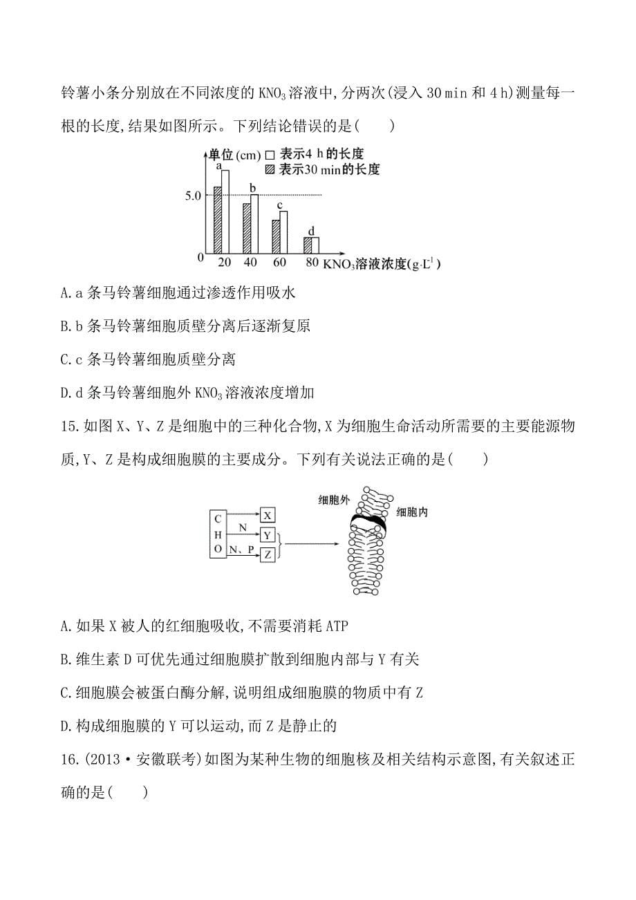 阶段滚动检测（一）.doc_第5页