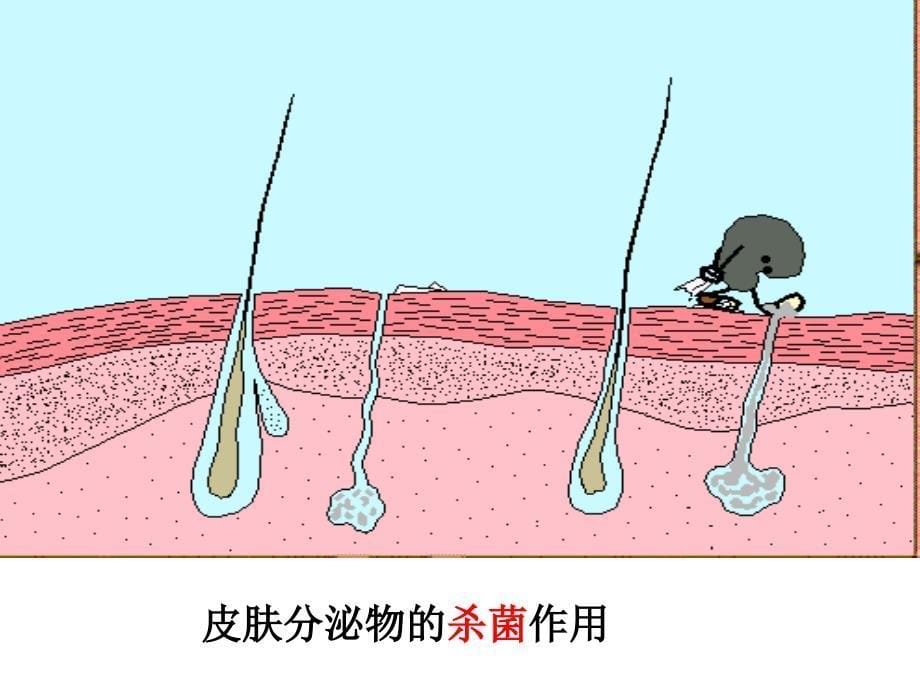 初二生物免疫与计划免疫PPT课件_第5页