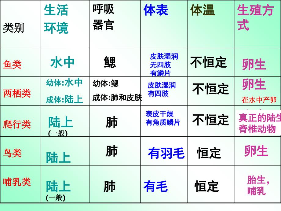 浙教版科学七上第二章第4节常见的动物第二课时课件_第4页