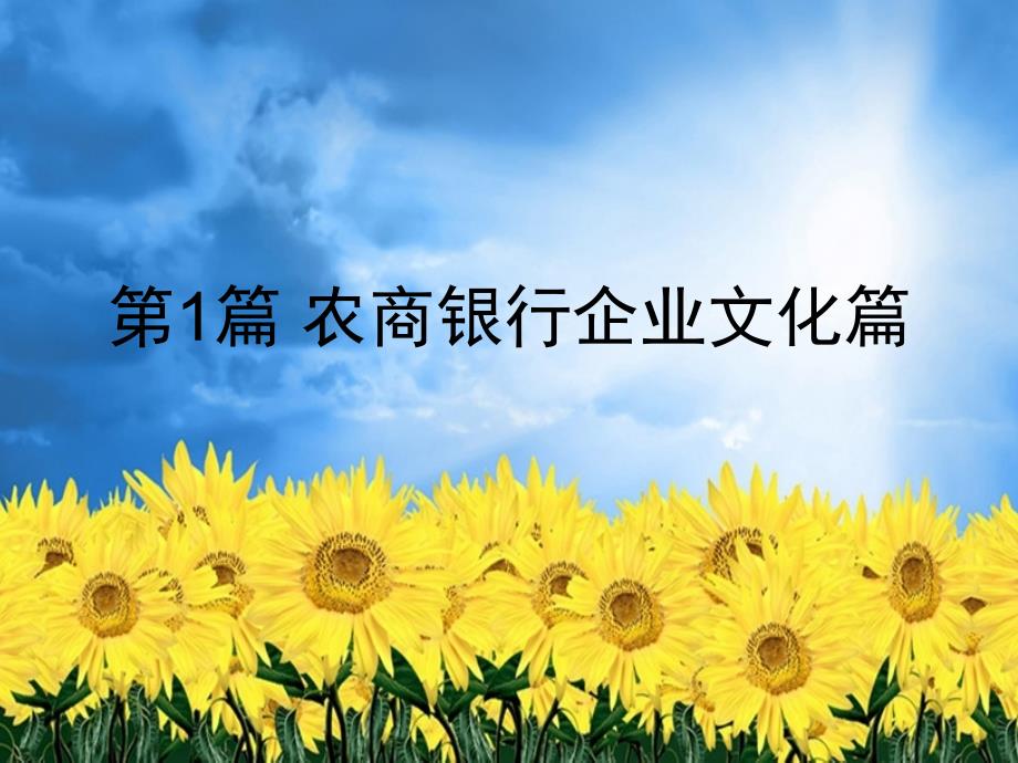 农商行信用社新员工培训农信社新员工入职导航柜员入门培训银行新员工课件_第3页