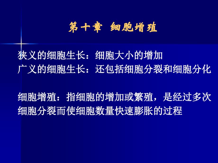 细胞周期同步化概念课件_第1页