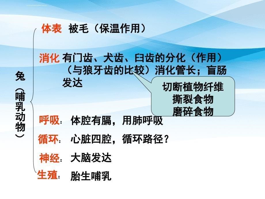 各种环境中的动物八年级生物上册第五单元第一章复习提纲课件_第5页