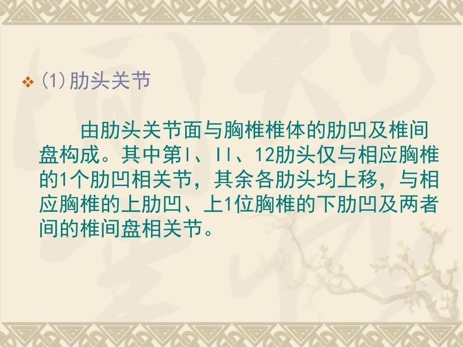 《胸椎小关节紊乱》PPT课件_第5页