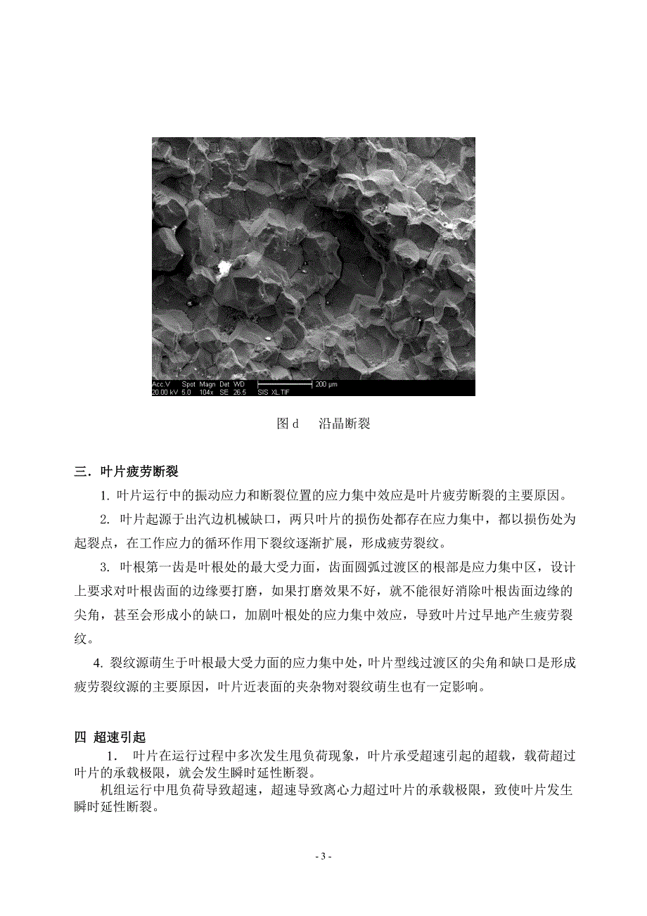 叶片断裂分析.doc_第3页