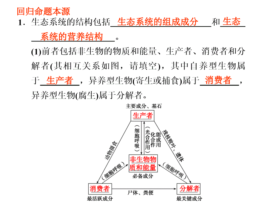 生物与环境总复习_第4页