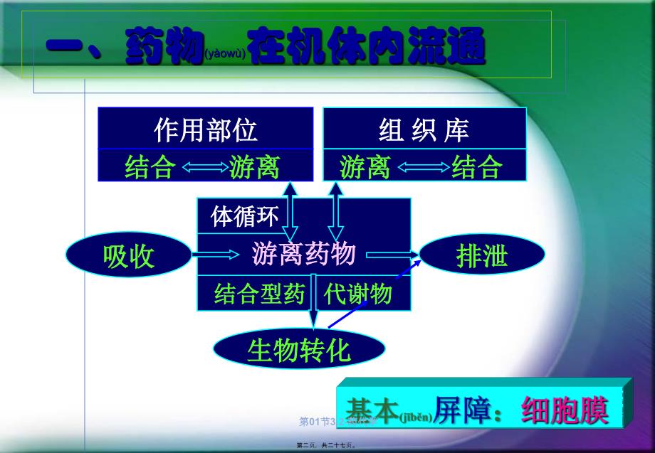 第01节3.2药代学课件_第2页
