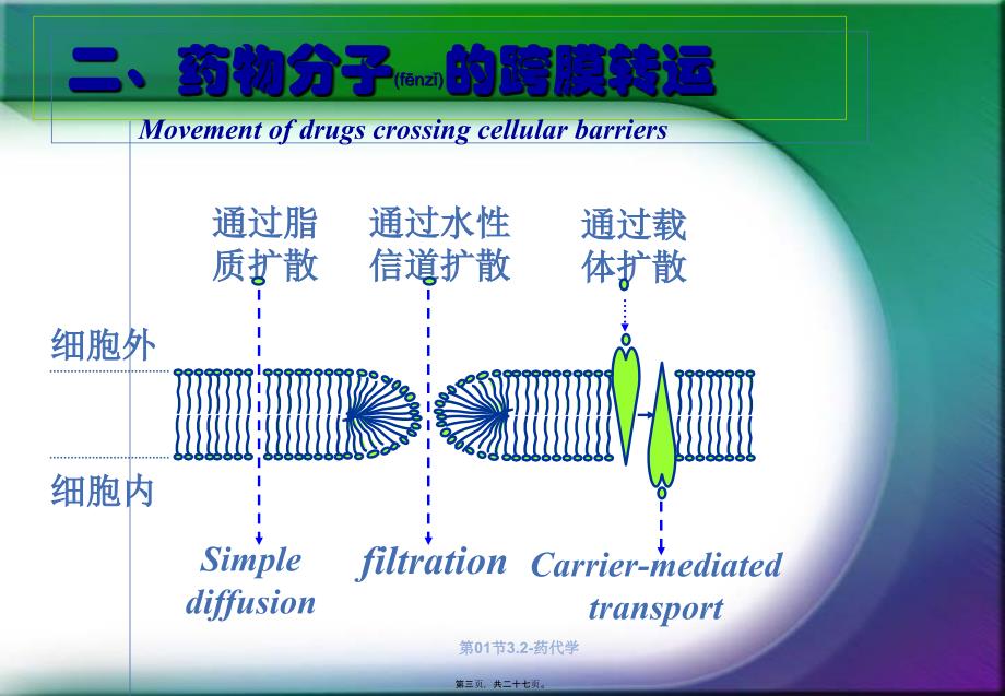 第01节3.2药代学课件_第3页