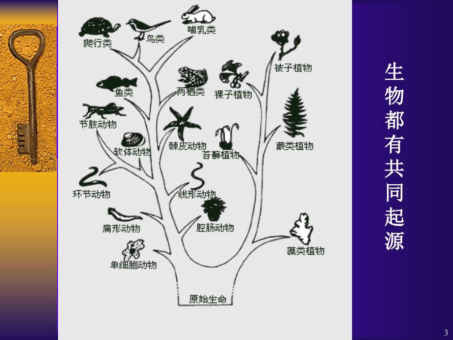 进化生物学：3 地球生命起源_第3页