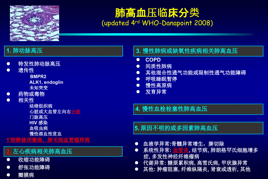 肺动脉高压流行病学和我国PAH资料分析_第3页