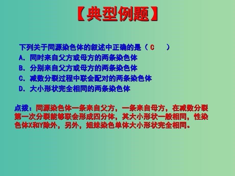 高中生物 专题2.1 减数分裂和受精作用同步精品课件 新人教版必修2.ppt_第5页