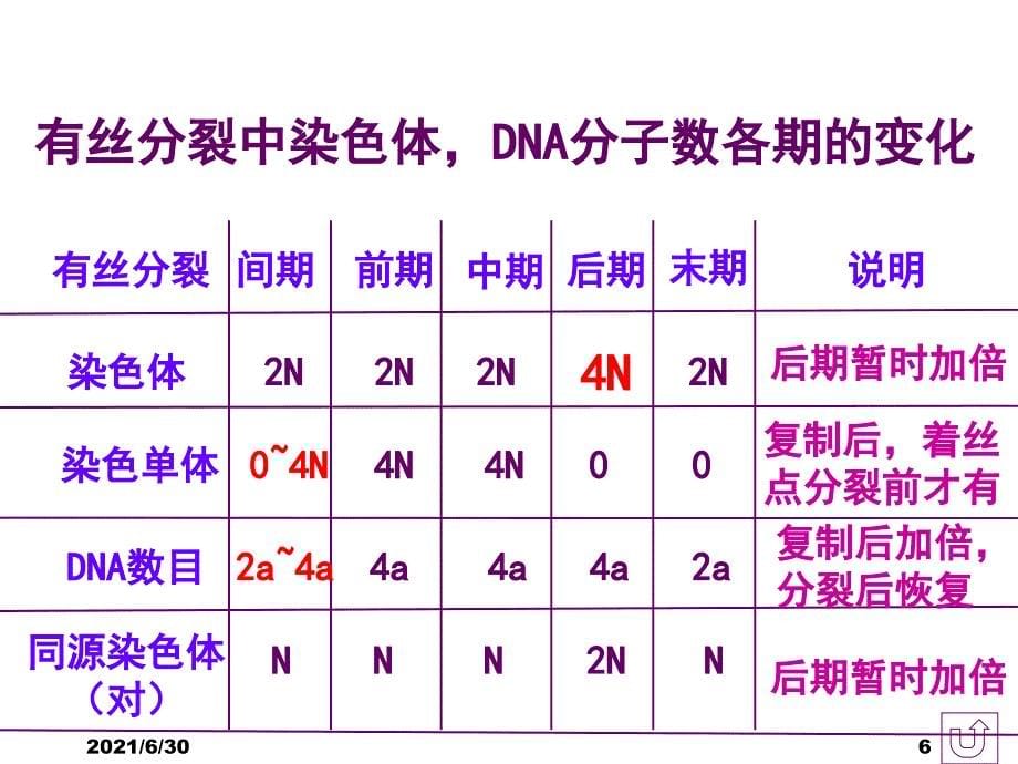 减数分裂和受精作用带复习有丝分裂超赞_第5页