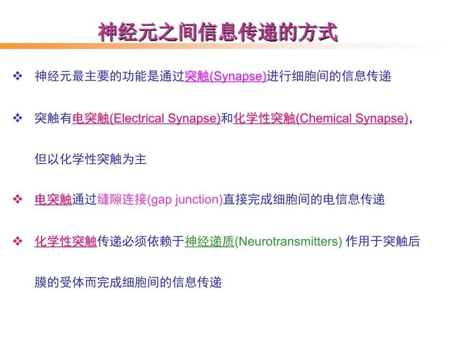 《神经递质总论》PPT课件_第5页