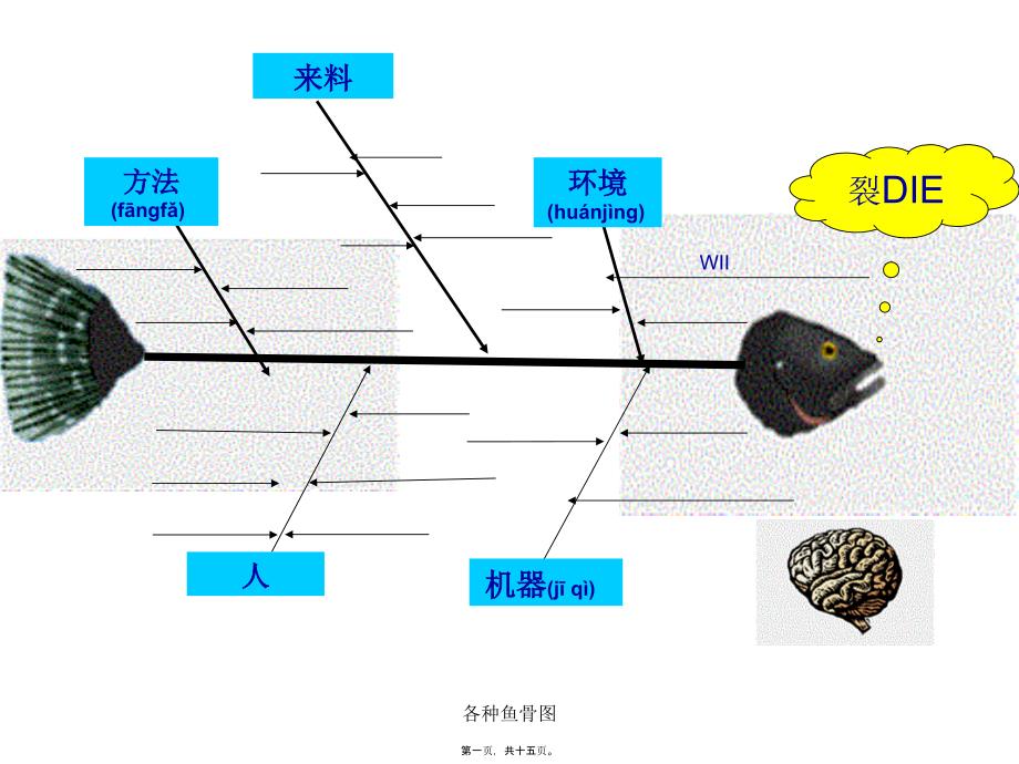 各种鱼骨图课件_第1页