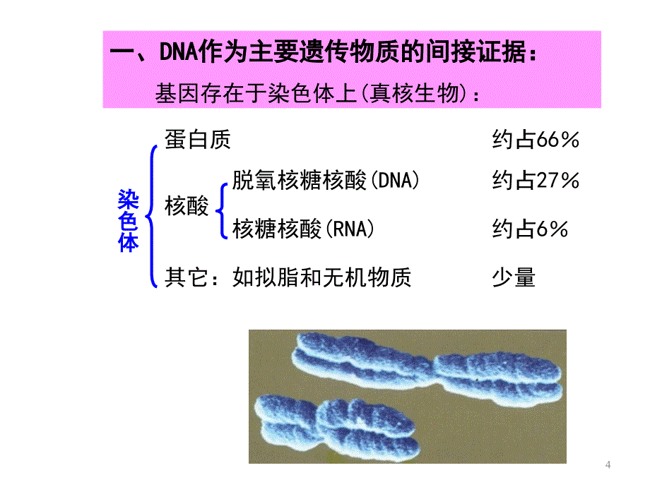 3遗传物质的分子基础_第4页