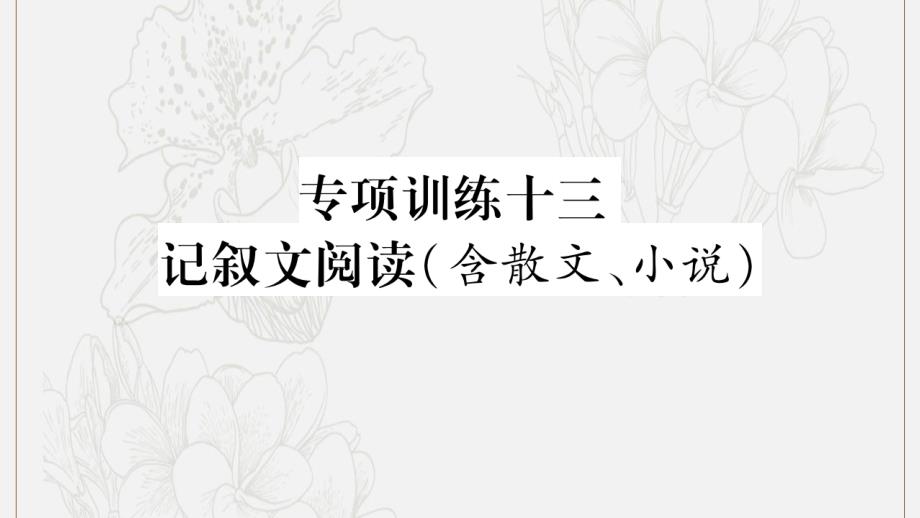 湖南省中考语文第3部分现代文阅读专项训练13记叙文阅读含散文小说课件_第1页