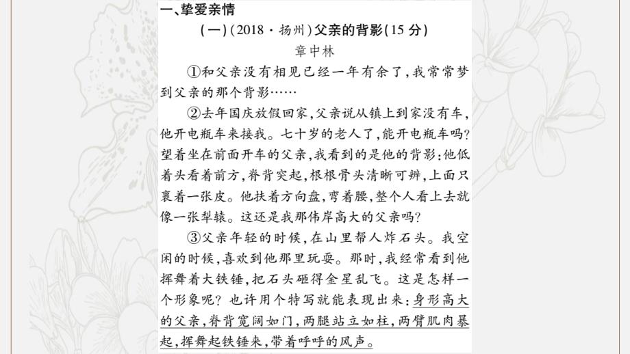 湖南省中考语文第3部分现代文阅读专项训练13记叙文阅读含散文小说课件_第2页