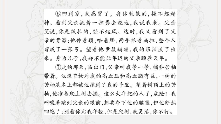 湖南省中考语文第3部分现代文阅读专项训练13记叙文阅读含散文小说课件_第4页