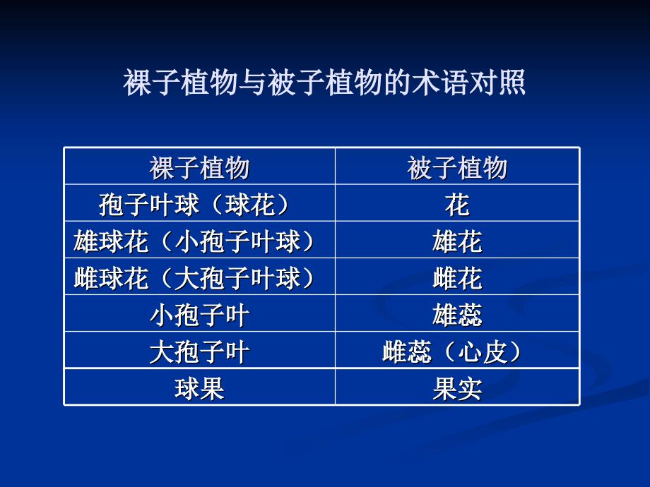 04裸子植物1苏铁科、银杏科_第3页