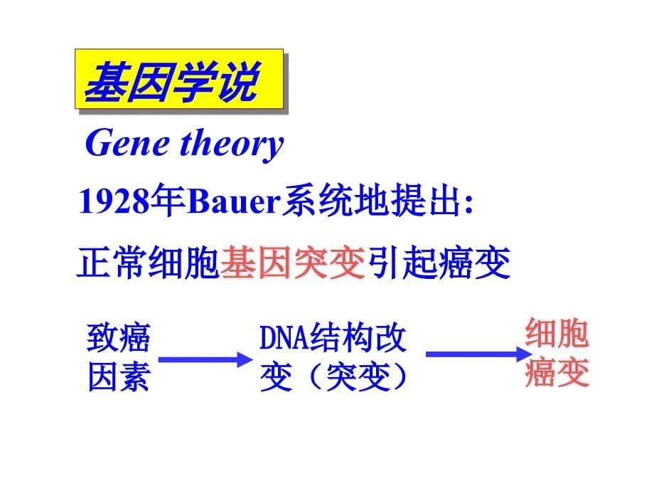 细胞信号转导与肿瘤_第5页