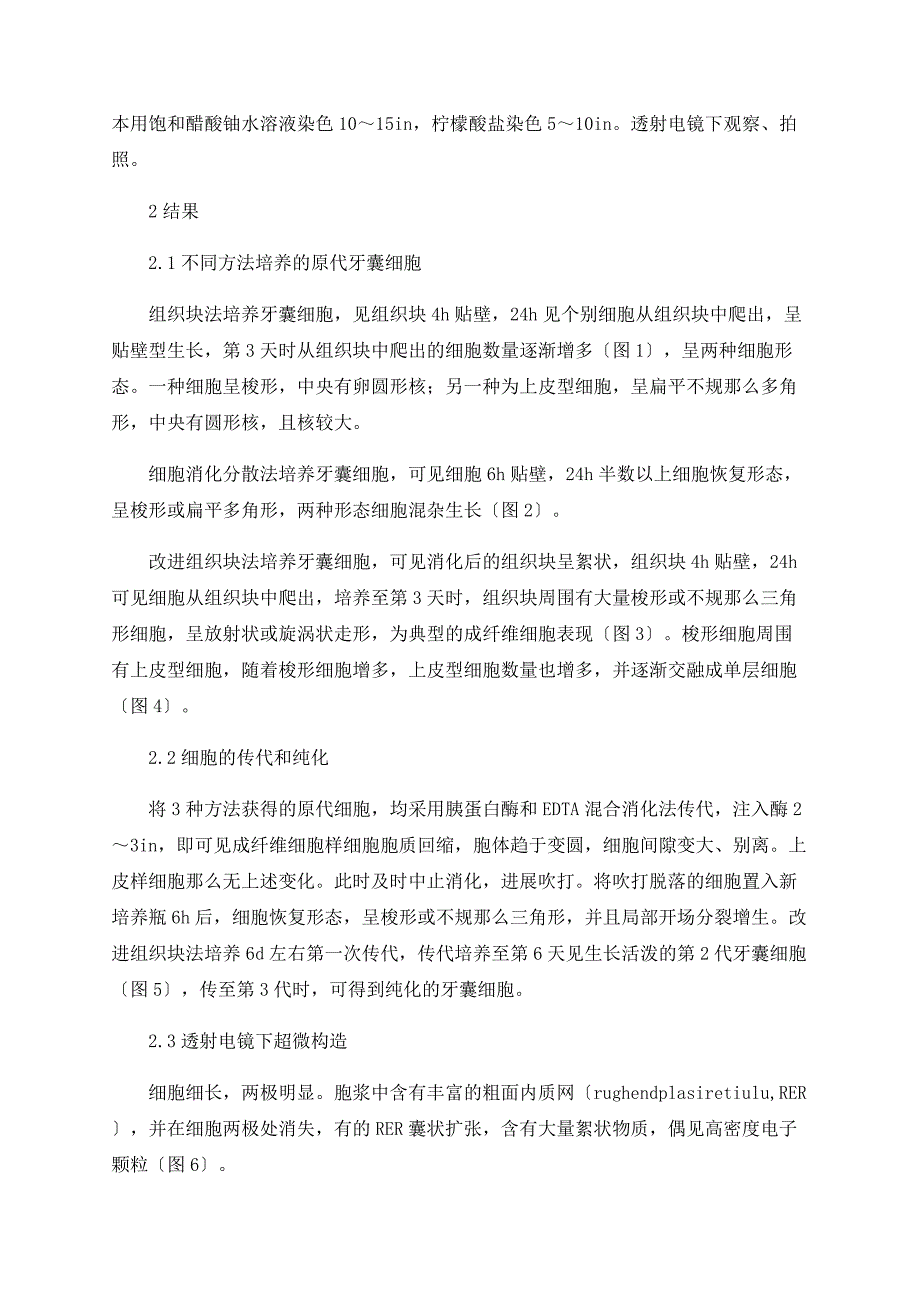 大鼠牙囊细胞培养方法的探讨_第4页