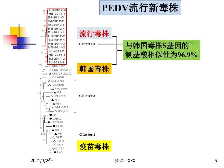 猪场生物安全杨汉PPT课件_第5页