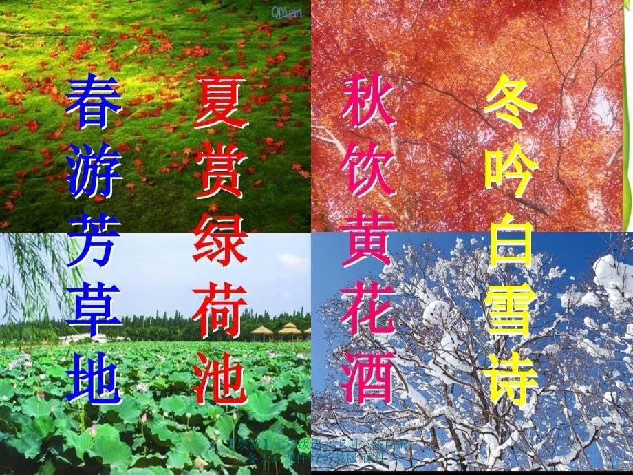 最新七年级语文上册济南的冬天课件17苏教版课件_第5页