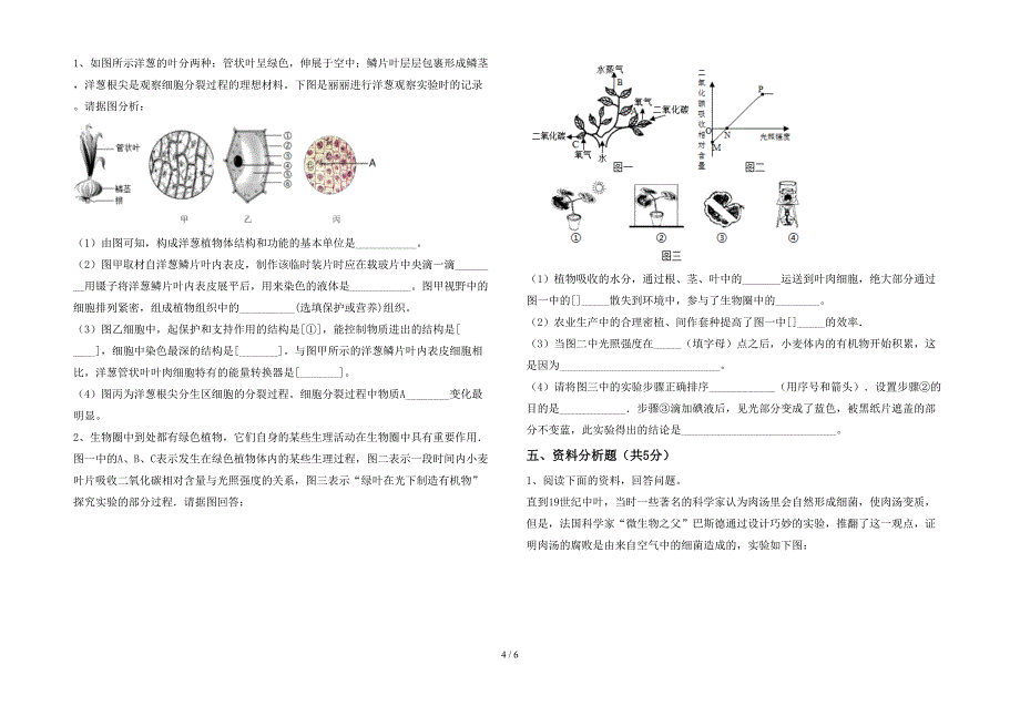 2023年苏教版七年级上册《生物》期末考试卷(精编).doc_第4页