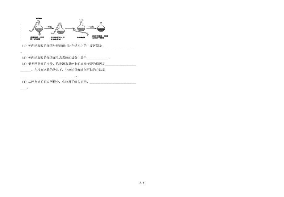 2023年苏教版七年级上册《生物》期末考试卷(精编).doc_第5页