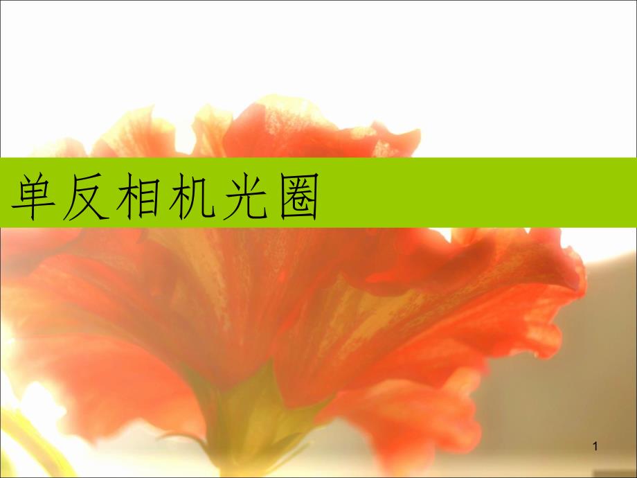 单反相机光圈快门讲解PPT课件_第1页
